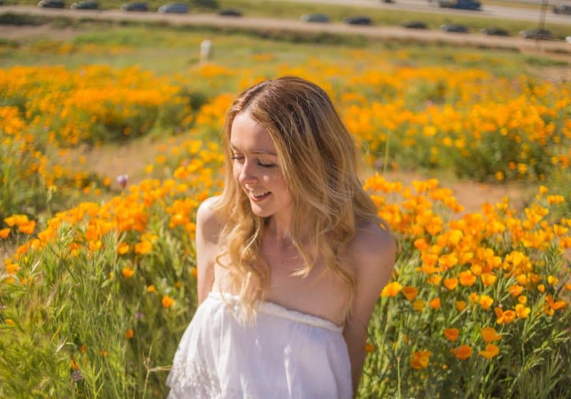 How to See the California Poppies in Bloom!