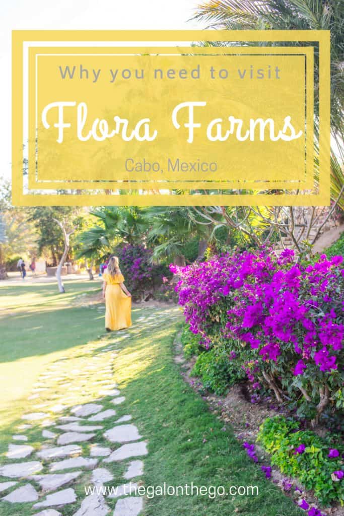 flora farms cabo mexico